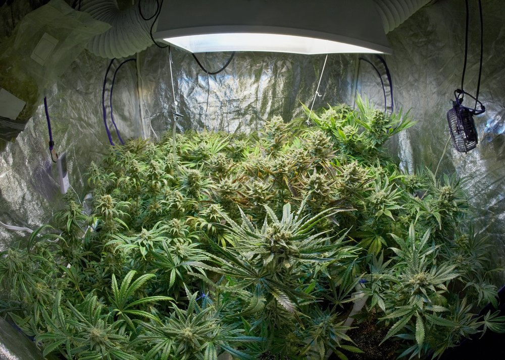 indoor